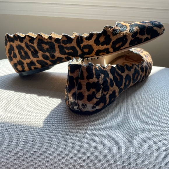 Sam Edelman Alaine calf hair leopard flats. Gently worn. - Picture 3 of 4